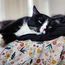 Thumbnail photo of Boots #2