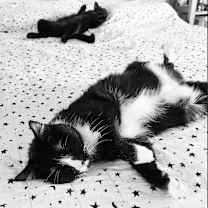 Thumbnail photo of Boots #4