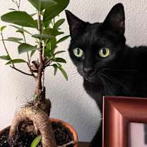 Thumbnail photo of Madeline #4