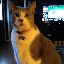 Thumbnail photo of Max #1