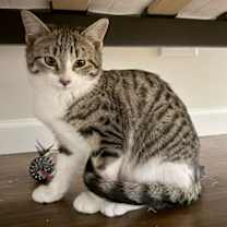 Thumbnail photo of Mary #1