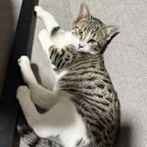 Thumbnail photo of Mary #2