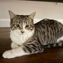 Thumbnail photo of Mary #3