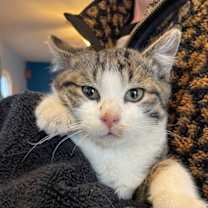 Thumbnail photo of Clarence #2