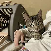 Thumbnail photo of Rafa #3