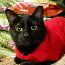 Thumbnail photo of Juan Camilo #2