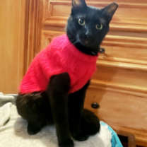 Thumbnail photo of Juan Camilo #3