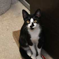 Thumbnail photo of Ralph #3