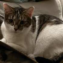 Thumbnail photo of Skitters #2