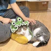 Thumbnail photo of Jumbo #2