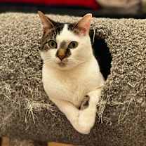 Thumbnail photo of Alex #2