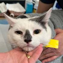 Thumbnail photo of Lewis #2