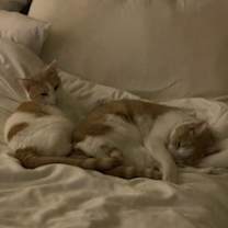 Thumbnail photo of Charlie and Coco #1