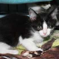 Thumbnail photo of Blossom #1