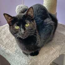 Thumbnail photo of November #2