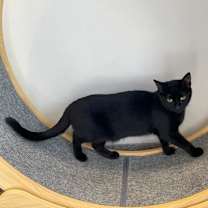 Thumbnail photo of November #3