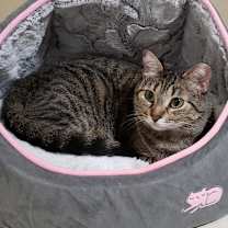 Thumbnail photo of Imogen #2