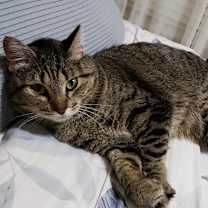 Thumbnail photo of Imogen #3