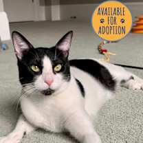 Thumbnail photo of Miles #1