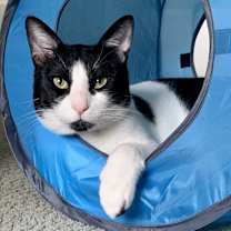 Thumbnail photo of Miles #2