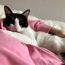 Thumbnail photo of Miles #3