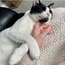 Thumbnail photo of Miles #4