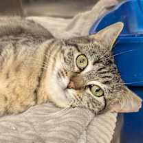 Thumbnail photo of Marian #2