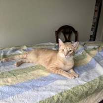 Thumbnail photo of Hermione #3