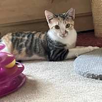 Thumbnail photo of Fleur #3