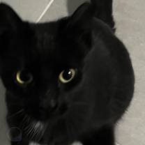 Thumbnail photo of Cindy #1