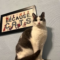 Thumbnail photo of Pumpkin Spice #1