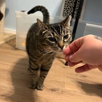 Thumbnail photo of Apple Cider #2