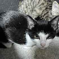 Thumbnail photo of Lexi #3