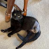 Thumbnail photo of Holly #4