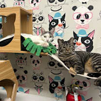 Thumbnail photo of Storm #3