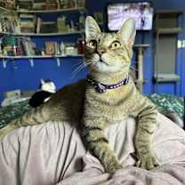 Thumbnail photo of Hank #3