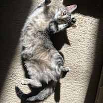 Thumbnail photo of Granola #2