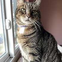 Thumbnail photo of Buddy #1