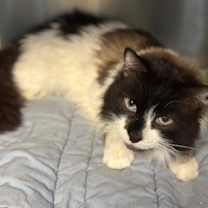 Thumbnail photo of Winston #2