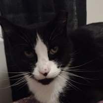 Thumbnail photo of Squeaky #1