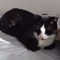 Thumbnail photo of Squeaky #2