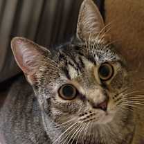 Thumbnail photo of Avery #1