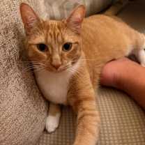 Thumbnail photo of Bruce #2