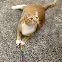 Thumbnail photo of Bruce #3