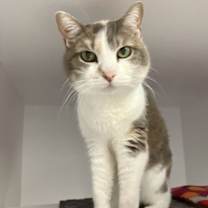 Thumbnail photo of Kiara #1
