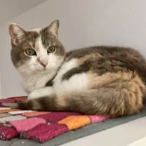 Thumbnail photo of Kiara #2