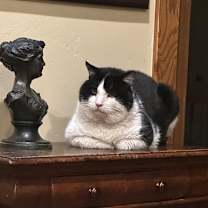 Thumbnail photo of Potato #1