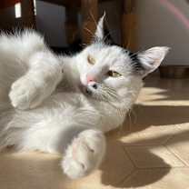 Thumbnail photo of Marilyn #3