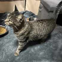 Thumbnail photo of Lindsay #2