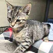 Thumbnail photo of Melinda #4